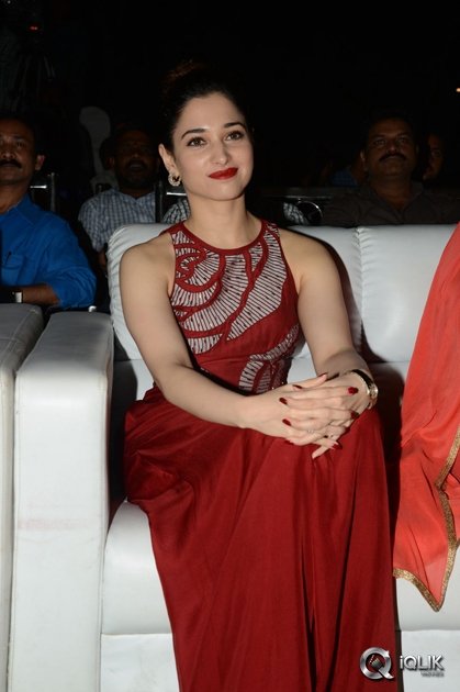 Tamannaah-at-Bengal-Tiger-Movie-Triple-Platinum-Disc-Function